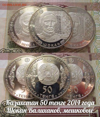 Казахстан 50 тенге 2014 Шокан Валиханов, мешковые. До 25.08. - л