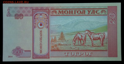 Монголия 20 тугриков 2014 unc до 31.08.17. 22:00 мск - 1