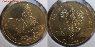 2 zt Польши 2000-2014гг - бабочка.JPG