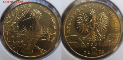 2 zt Польши 2000-2014гг - удод 2000.JPG