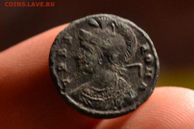 Рим.Капитолийская Волчица кормящая Ромула и Рема IV век - CSC_0098.JPG