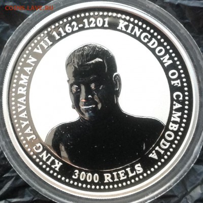 Лабрадор Камбоджа 3000 риэлтор 2006 г. До ухода в архив - IMG_8889.JPG