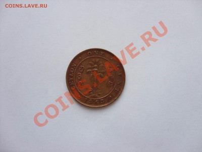 1 цент. Цейлон. 1943. До 08.03.2011 23.50 по Москве - 1 цент Цейлон 1943 - 1.JPG