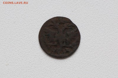 Медные монеты Петра I. Оценка! - 1 (2).JPG