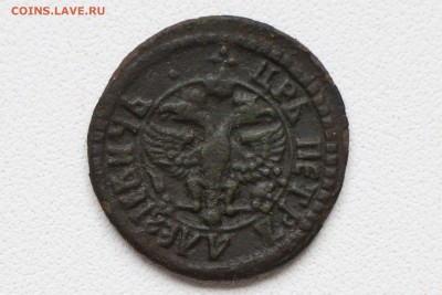 Медные монеты Петра I. Оценка! - 6 (2).JPG