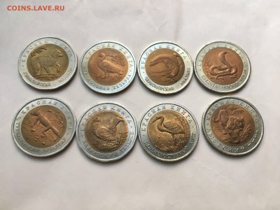 Красная книга 8 монет до 28.08 - IMG_7053.JPG