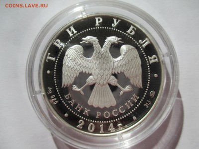 3Р ГОД ЛОШАДИ фикс - IMG_0137.JPG