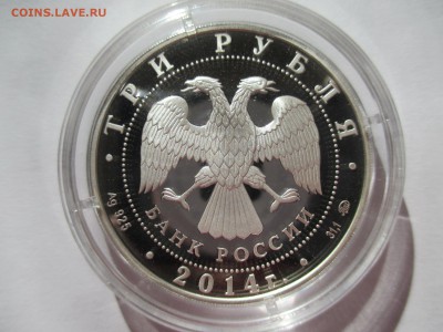 3Р ГОД ЛОШАДИ фикс - IMG_0138.JPG