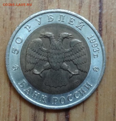 Россия 1993 Красная книга Тетерев до 02.09.17 22-00 - DSC04182.JPG