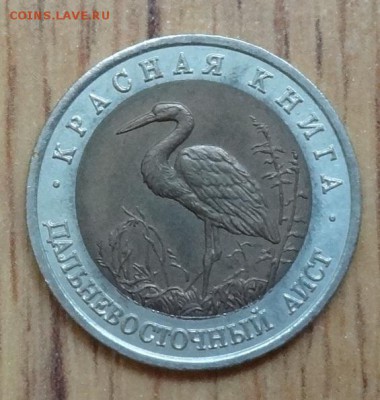 Россия 1993 Красная книга Аист до 02.09.17 22-00 - DSC04175.JPG