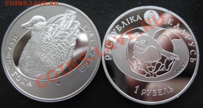 СНГ, Беларусь, гусь, до 09.03 в 21-00 мск - бел гусь