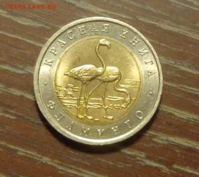 ФЛАМИНГО до 3.09, 22.00 - КК 1994 Фламинго_1