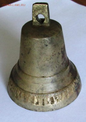 Колокольчик П.Г. Чернигина - IMG_3744.JPG