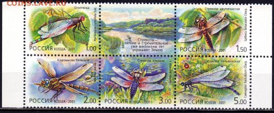 Марки из серии "Фауна России" - lcWwxrNJD5E