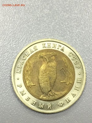 Красная книга 1991 год.Козел и Филин с 200 до 31.08.2017 - IMG_2036.JPG