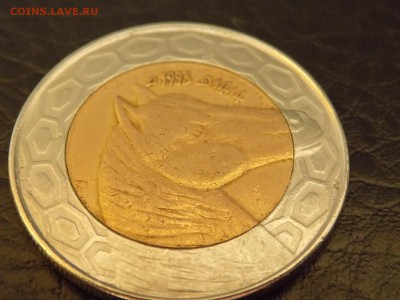 Алжир 100 динар 1993 год. - DSCN2957.JPG
