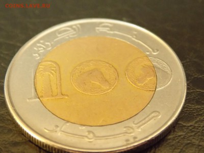 Алжир 100 динар 1993 год. - DSCN2954.JPG
