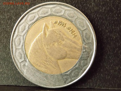 Алжир 100 динар 1993 год. - DSCN2953.JPG