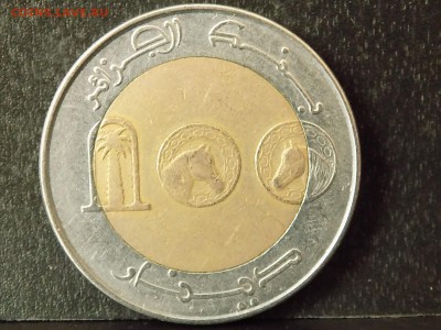 Алжир 100 динар 1993 год. - DSCN2951.JPG