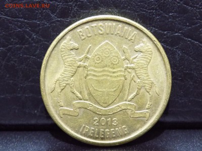 Ботсвана, 1 пула 2013 год. - DSCN3117.JPG