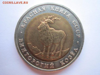 кк 91 КОЗЕЛ до 03.09.2017 в 22:30 - IMG_5504.JPG