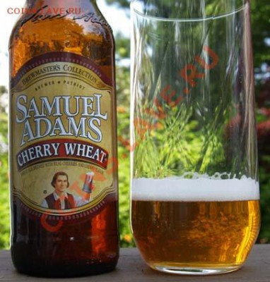 Кто знает как варить пиво в домашних условиях? - beer_SamuelAdams_2