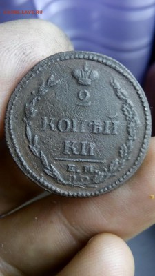 2 коп 1810 ем нм (пчелка) до 2 09 2017 до 22 часов - IMG_20170822_120004_новый размер