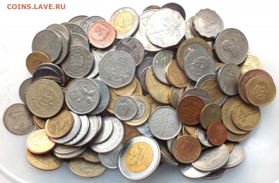 1 кг экзотики без повторов до 3.09 в 22.00 - 2