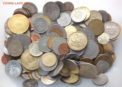 1 кг экзотики без повторов до 3.09 в 22.00 - 1.JPG