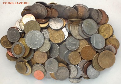 1 кг экзотики без повторов до 3.09 в 22.00 - 6.JPG