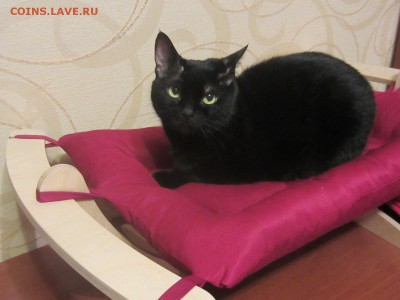 делает - прямо сейчас !!! - IMG_8149.JPG
