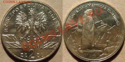 Польша 2zl. 2006г. Сурок  до 07.03.2011 22-00 ФВ. - АльпийскийСурок2006