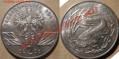 Польша 2zl. 1995г. Сом до 07.03.2011 22-00 ФВ. - Сом1995