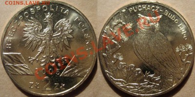 Описание лота: 2 злотых 2005 года "Альпийский сурок".  Оконч - Филин2005