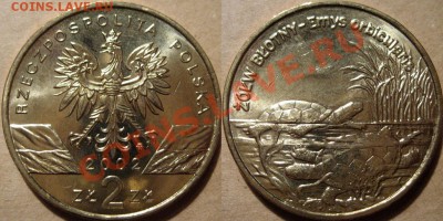 Польша 2zl. 2002г. Черепаха до 07.03.2011 22-00 ФВ. - Черепаха2002