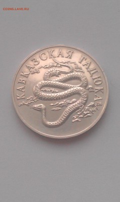 1 рубль 1999 года Кавказская гадюка, есть блиц - IMAG1560