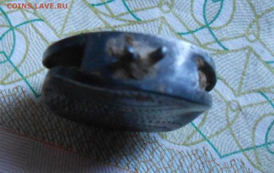 украшение? - DSCN3876.JPG