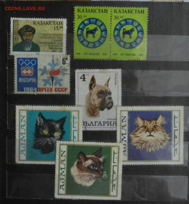 разные марки на оценку - DSCN0118.JPG