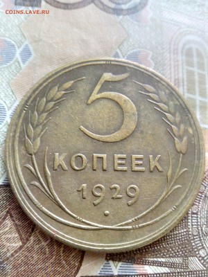 5 копеек 1929 до 08.09.17 22-30 - 5-29-1