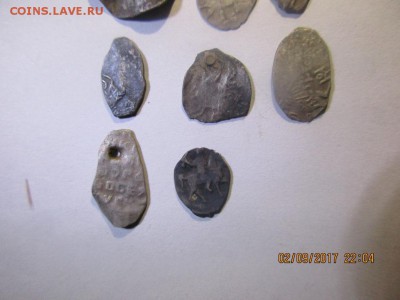 8 чешуек - IMG_0559.JPG