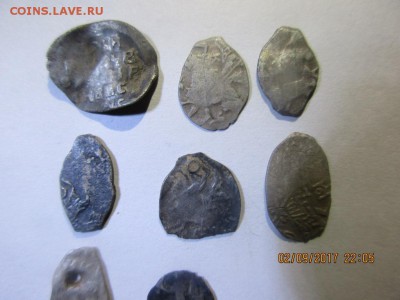 8 чешуек - IMG_0560.JPG