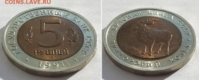 Красная книга. 1991. 2 шт. До 06.09.17 22-00. - КК 1991  3