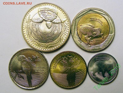 Фауна на монетах.Колумбия 5 монет 2012-1012 до 7.09 в 22.00 - 37592403 (1)