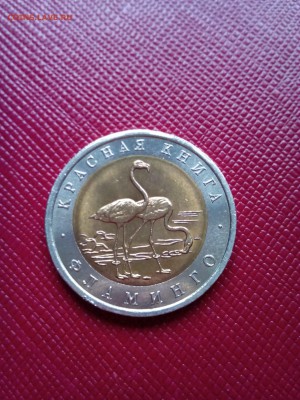 красная книга 1994 г Фламинго. - IMG_20170904_092628