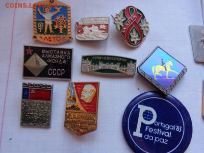 Солянка 9 шт   до 8.9  в 21-30 мск - DSC02716.JPG