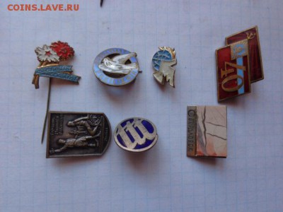 Солянка   7 шт   до 8.9  в 21-30 мск - DSC02734.JPG