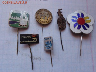Солянка   6 шт   до 8.9  в 21-30 мск - DSC02730.JPG