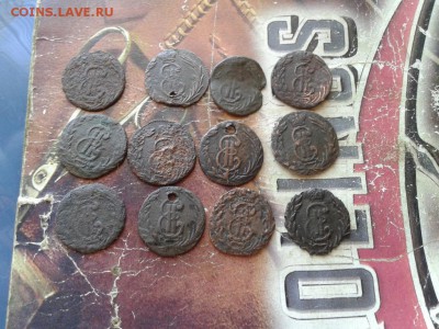 12 сибирских полушек - 12пол (3) - копия