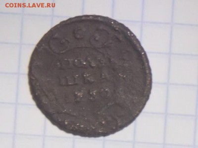полушка 1734 ,1730 06.09.2017 22-00 московское - DSCN0059.JPG