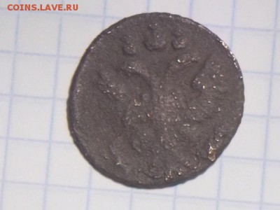 полушка 1734 ,1730 06.09.2017 22-00 московское - DSCN0060.JPG